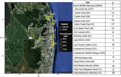 Foraging in Urban Environments Increases Bactericidal Capacity in Plasma and Decreases Corticosterone Concentrations in White Ibises